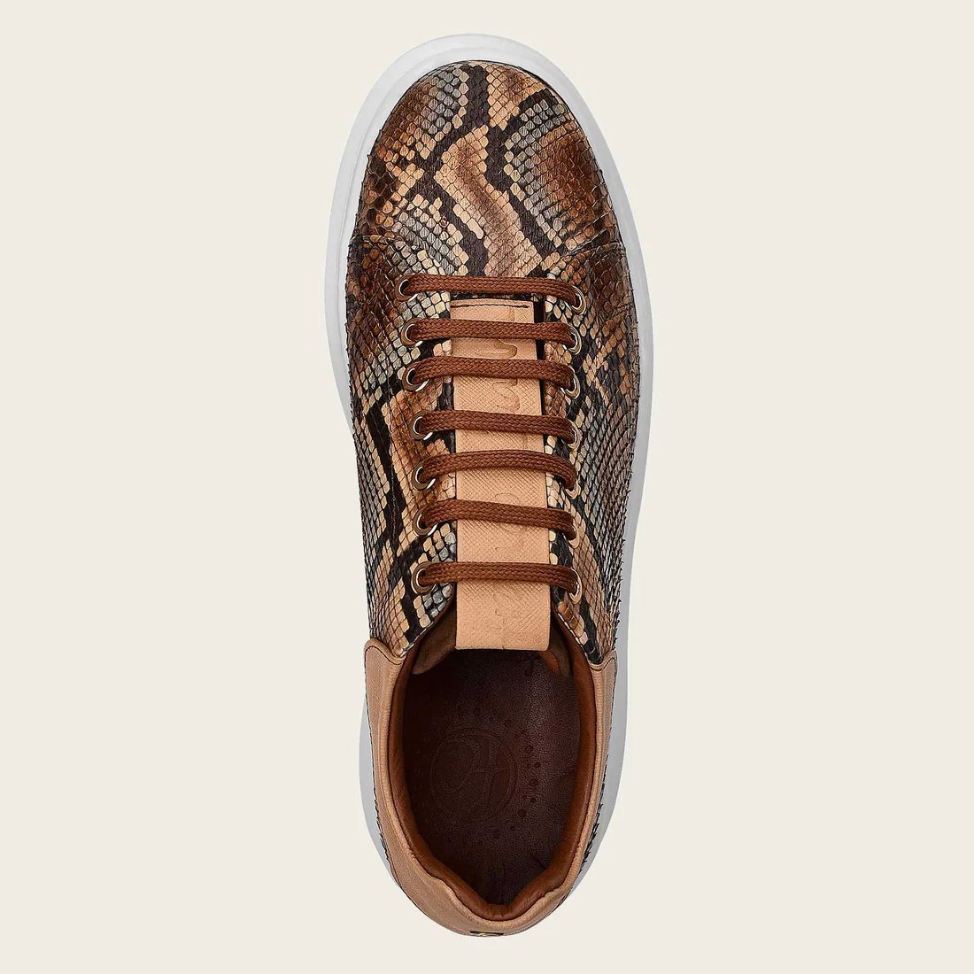 Cuadra | Genuine Python Brown Leather Sneakers